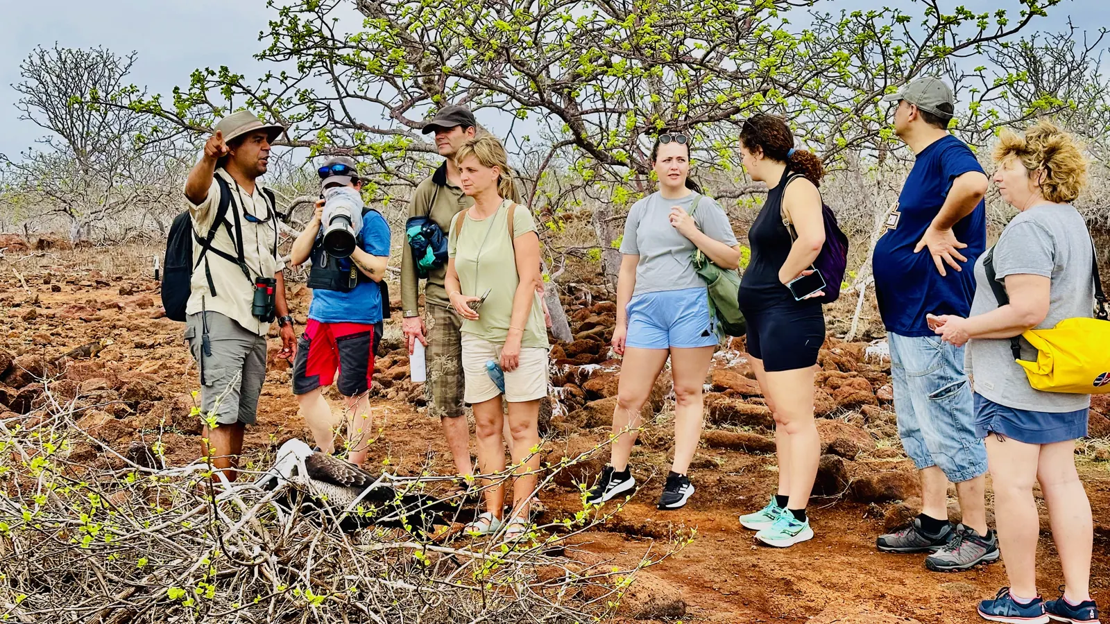 Group walking with a naturalist guide in Galapagos