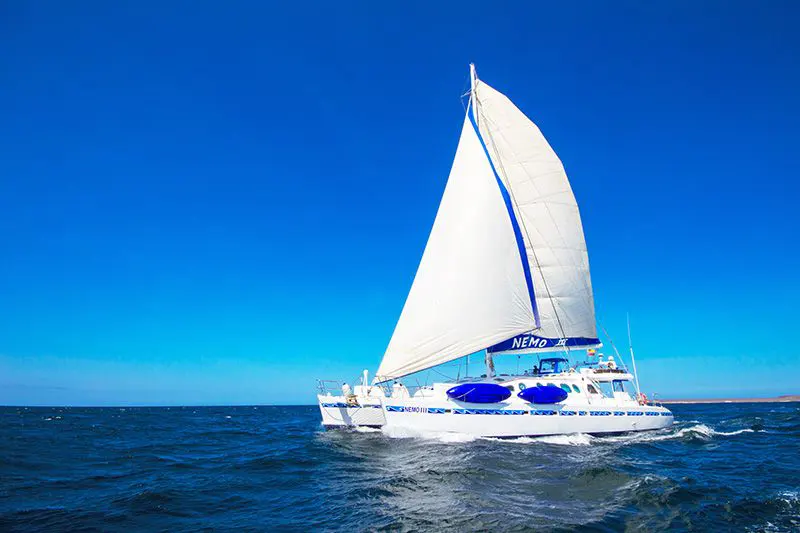 Nemo III catamaran sailing in Galapagos