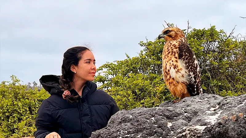 Wildlife Encounters