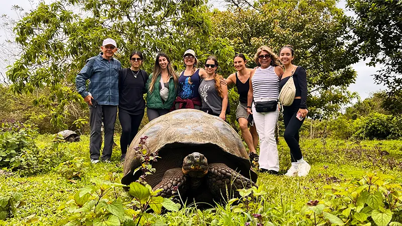 Yoga Galapagos turtle