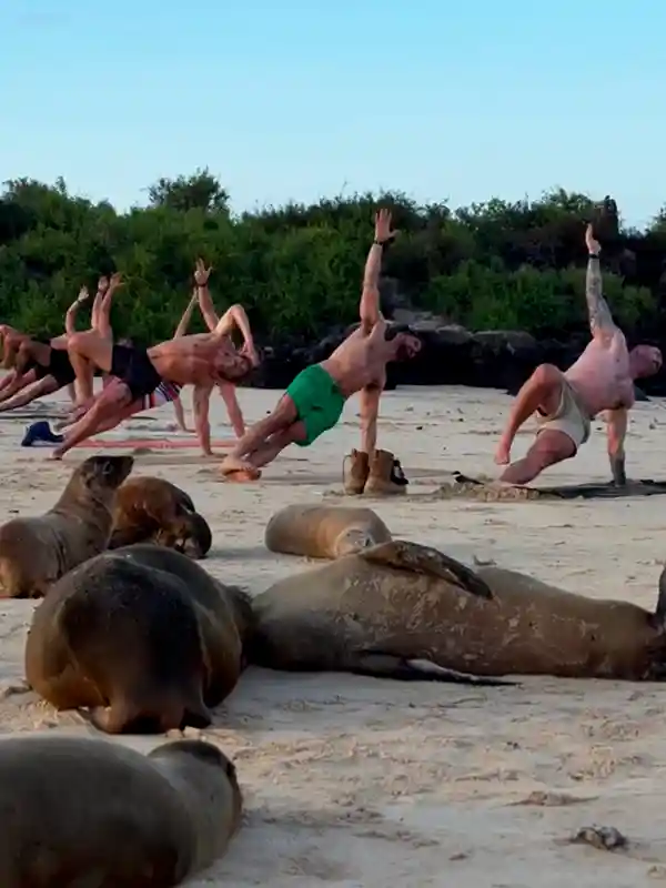 Yoga with Sea lion